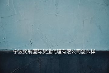 宁波奕航国际货运代理有限公司怎么样