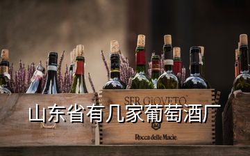 山东省有几家葡萄酒厂