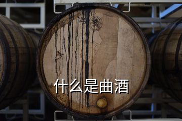 什么是曲酒