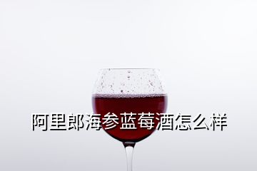 阿里郎海参蓝莓酒怎么样