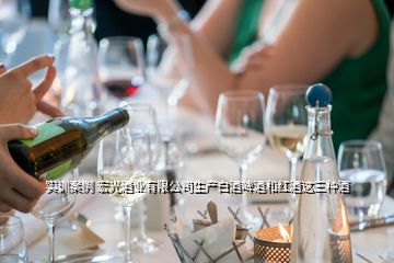 实训案例 宏光酒业有限公司生产白酒啤酒和红酒这三种酒