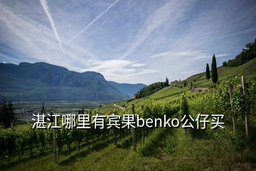 湛江哪里有宾果benko公仔买