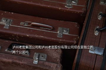 泸州老窖集团公司和泸州老窖股份有限公司现在是独立的两个公司吗