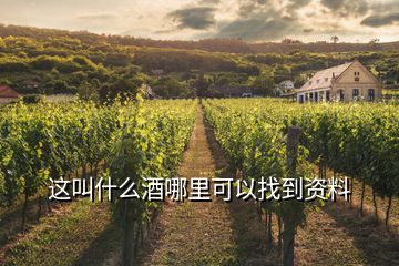 这叫什么酒哪里可以找到资料