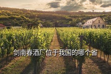 剑南春酒厂位于我国的哪个省