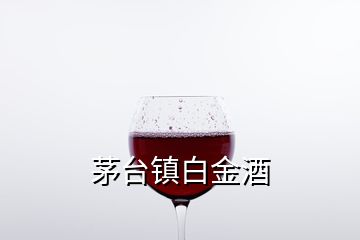 茅台镇白金酒