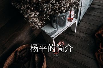 杨平的简介