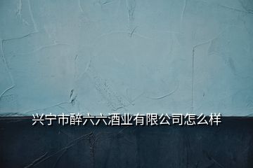 兴宁市醉六六酒业有限公司怎么样