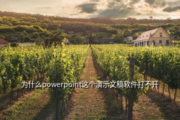  为什么powerpoint这个演示文稿软件打不开