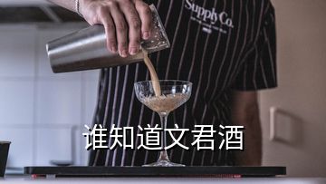 谁知道文君酒