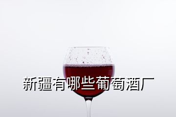 新疆有哪些葡萄酒厂