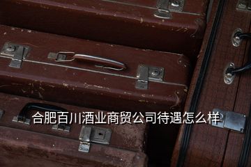 合肥百川酒业商贸公司待遇怎么样