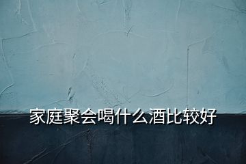 家庭聚会喝什么酒比较好