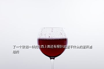 了一个针筒一样的东西上面还有根针这是干什么的是开酒瓶的