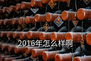 2016年怎么样啊