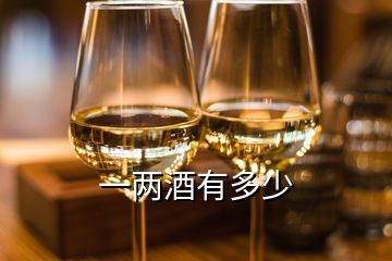 一两酒有多少