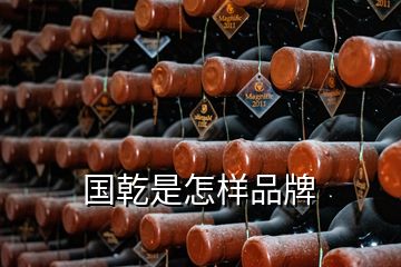 国乾是怎样品牌