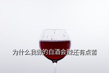 为什么我做的白酒会辣还有点苦