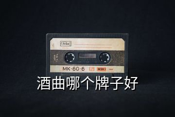 酒曲哪个牌子好