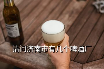 请问济南市有几个啤酒厂