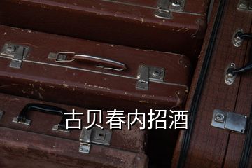 古贝春内招酒