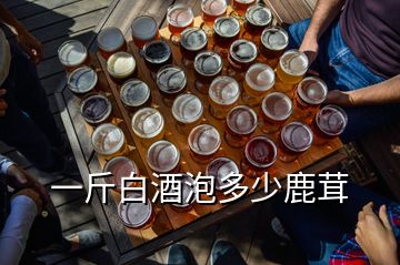 一斤白酒泡多少鹿茸