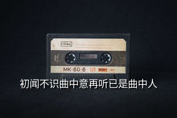 初闻不识曲中意再听已是曲中人