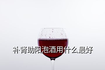 补肾助阳泡酒用什么最好