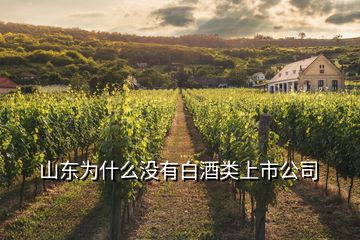 山东为什么没有白酒类上市公司