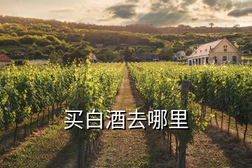 买白酒去哪里