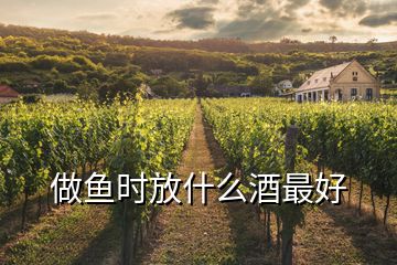 做鱼时放什么酒最好