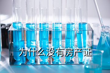 为什么没有房产证