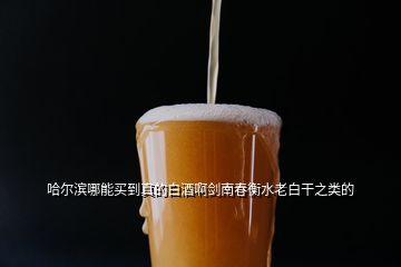 哈尔滨哪能买到真的白酒啊剑南春衡水老白干之类的