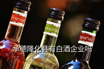 承德隆化县有白酒企业吗