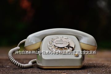 诗句白酒新熟山中归黄鸡啄黍秋正肥的意思及全文赏析