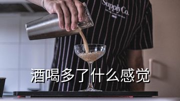 酒喝多了什么感觉