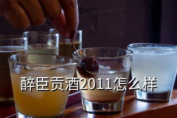 醉臣贡酒2011怎么样