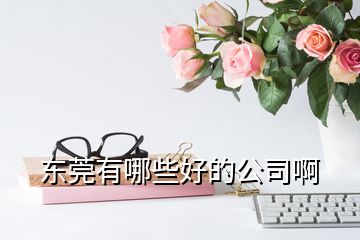 东莞有哪些好的公司啊