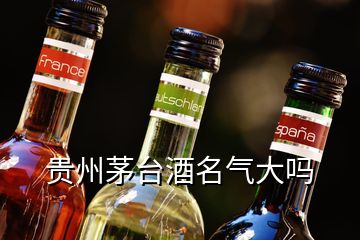 贵州茅台酒名气大吗