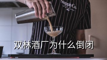 双林酒厂为什么倒闭