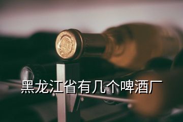 黑龙江省有几个啤酒厂