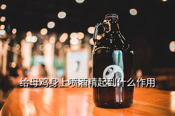 给母鸡身上喷酒精起到什么作用