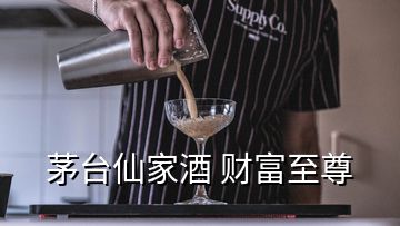 茅台仙家酒 财富至尊