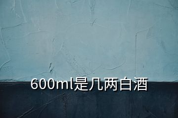 600ml是几两白酒