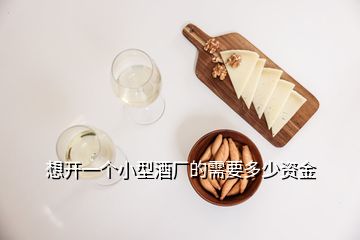 想开一个小型酒厂的需要多少资金