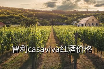 智利casaviva红酒价格