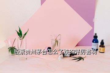 股票贵州茅台怎么了跌的好厉害啊