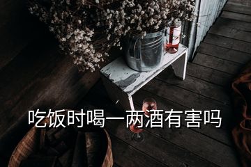 吃饭时喝一两酒有害吗