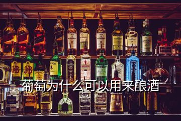 葡萄为什么可以用来酿酒