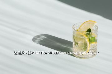 这酒多少钱XO EXTRA SINATA fine champagne cognac